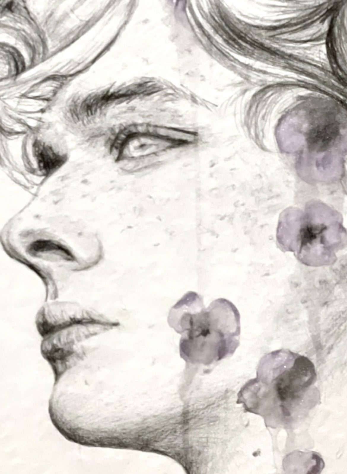 VIOLETS